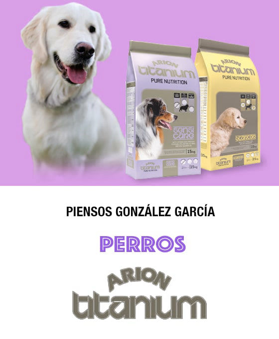 Perros Piensos González García