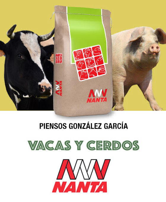 Vacas y Cerdos Piensos González García