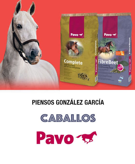Caballos Piensos González García